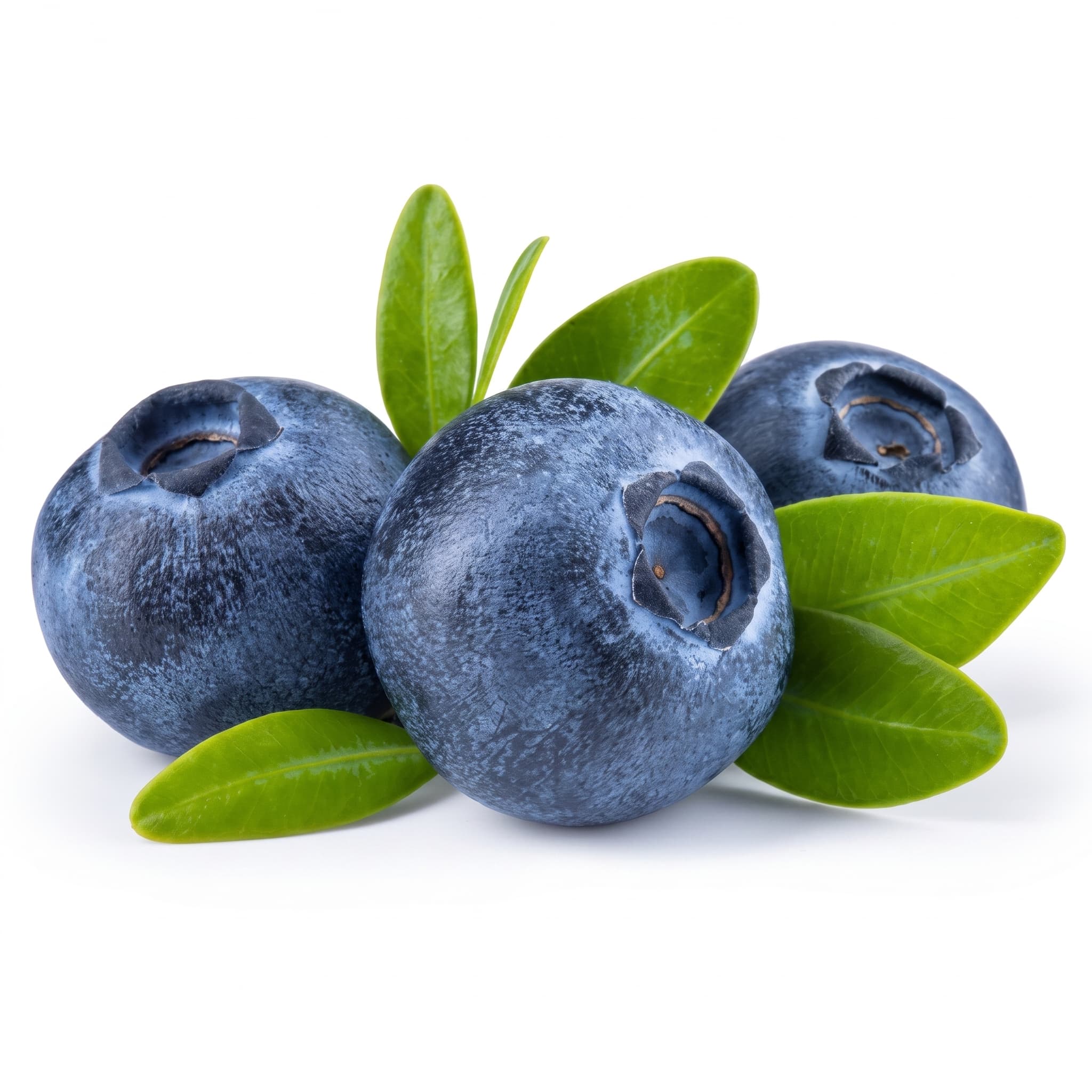 Blueberries