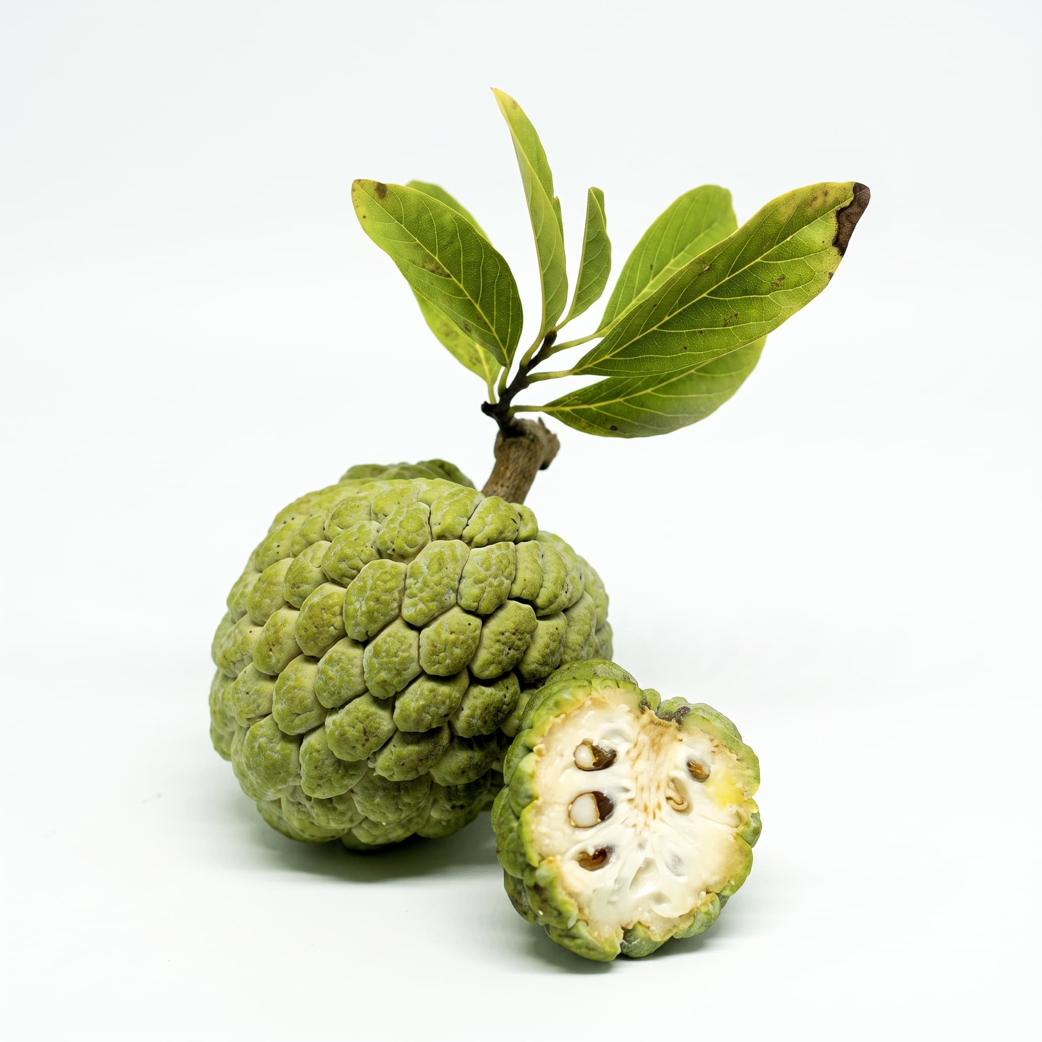 Cherimoya / Custard Apple